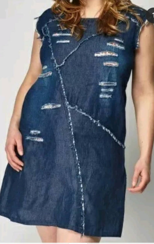 Plus size Denim dress