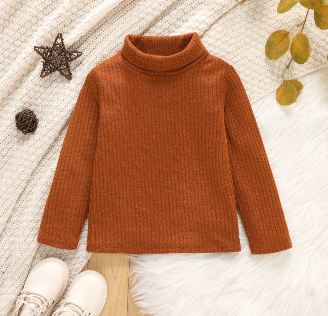 Girls'  ribbed turtle neck sweater